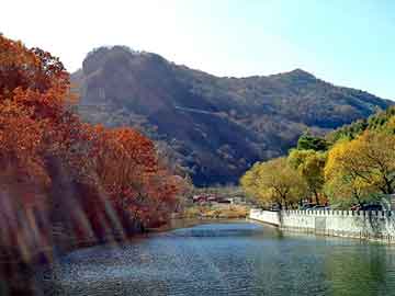 新澳天天开奖资料大全旅游团，黑帽黑客